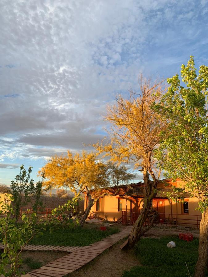 Sami Atacama Villa San Pedro de Atacama Dış mekan fotoğraf